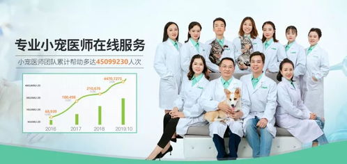 疫情期間,愛寵嘔吐 拉稀 血便...4大硬核防護指南,幫你在家科學(xué)養(yǎng)寵