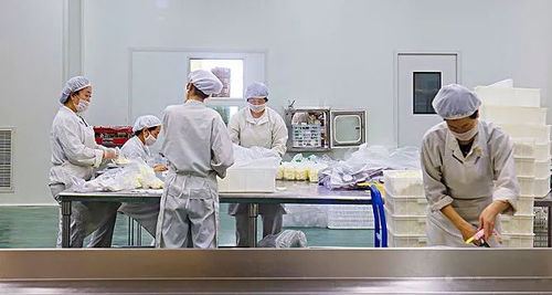民生 明天起,這些新規定新政策將影響上海市民的生活