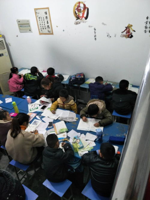 肥東太秀教育咨詢服務(wù)中心
