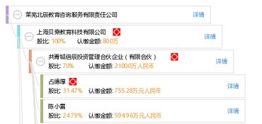 萊蕪北辰教育咨詢服務有限責任公司