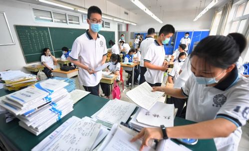 教育資訊 教育 信網 青島財經生活服務門戶網站 信網