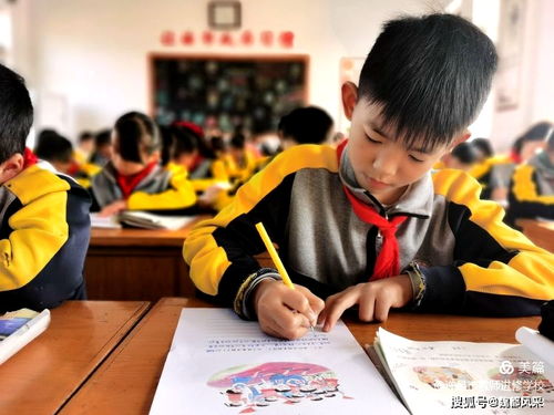 精品課堂凝智慧 集團送教碩果豐 許昌市魏都區教育專家人才志愿服務活動